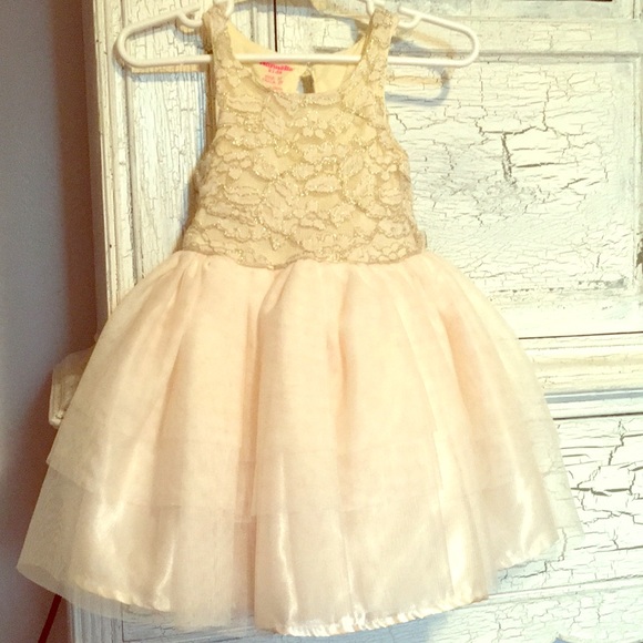 Nanette Baby Other - Beautiful Nannette Kids Chiffon Dress